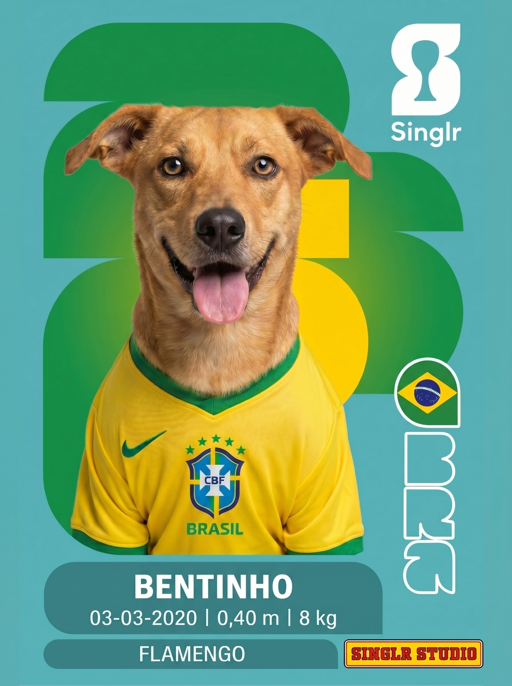 Figurinha personalizada da Copa do Mundo